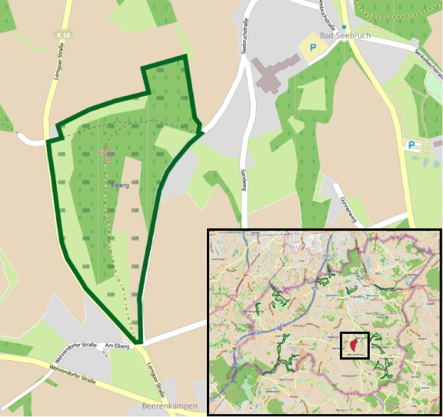 Ein detaillierter Stadtplan mit einem zentralen grünen Bereich, der für die geplante Entwicklung markiert ist, zeigt Straßen, Gebäude und Sehenswürdigkeiten.
