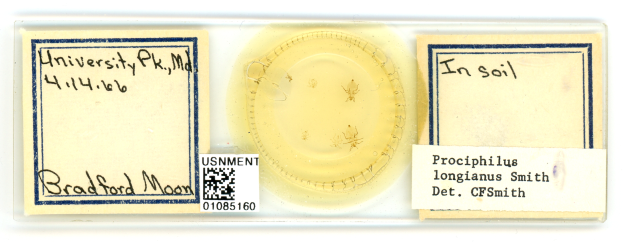 Ein Etikett mit der Aufschrift "In Boden" und einem Barcode, das Boden und zusätzliche Textinformation enthält.