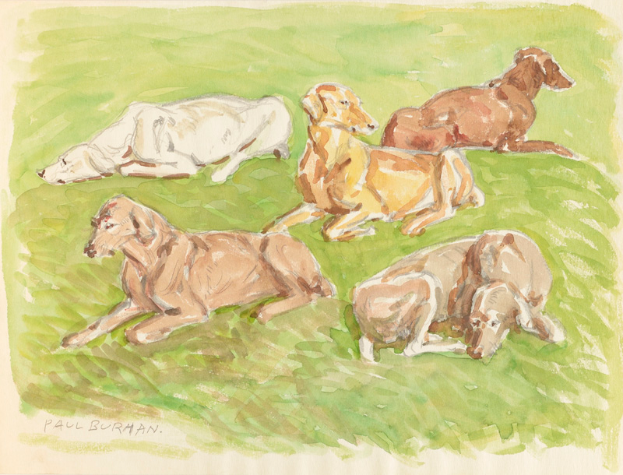 Ein realistisch gemaltes Bild von mehreren Dachshunden auf einem leuchtend grünen Feld unter einer strahlenden Sonne.