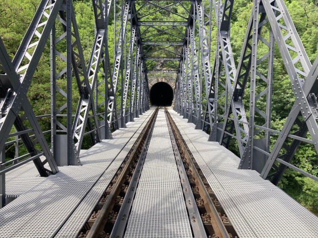 Stahlbrücke mit einem Zug, der durch eine tunnelförmige Struktur fährt, umgeben von Bäumen im Hintergrund.