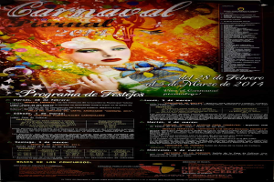 Eine Frau in einem bunten Kleid, die lächelt, umgeben von dem Text "Karnevalsfest 2014" in fetter schwarzer Schrift auf einem leuchtend gelben Hintergrund.