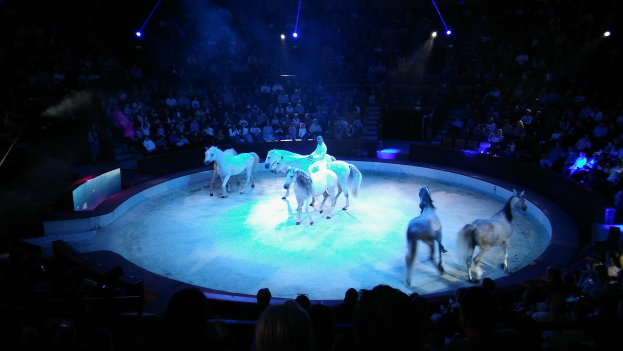 Eine Gruppe von Menschen, die auf Pferden auf einer Bühne mit beleuchtetem Hintergrund reitet, während das Publikum zusieht.