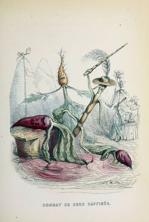 Ein Buchumschlag mit einem Mann in einem langen dunklen Mantel und Hut sowie einer Frau in Schürze und Kleid, beide in Kampfstellung mit entschlossener Miene, mit der Aufschrift "Combat deux raffines".