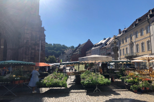 Ein belebter Markt im alten Stadtkern von Heidelberg mit Menschen an Tischen sitzend und stehend, die Blumentöpfe unter Schirmen halten, mit Gebäuden, Bäumen und einem klaren blauen Himmel im Hintergrund.