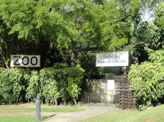 Eintritt in einen Zoo markiert durch ein "Zoo"-Schild, mit saftigem Grün, hohen Bäumen, einem hellblauen Himmel, einem Pfahl im Vordergrund und einem Maschendrahtzaun im Hintergrund.