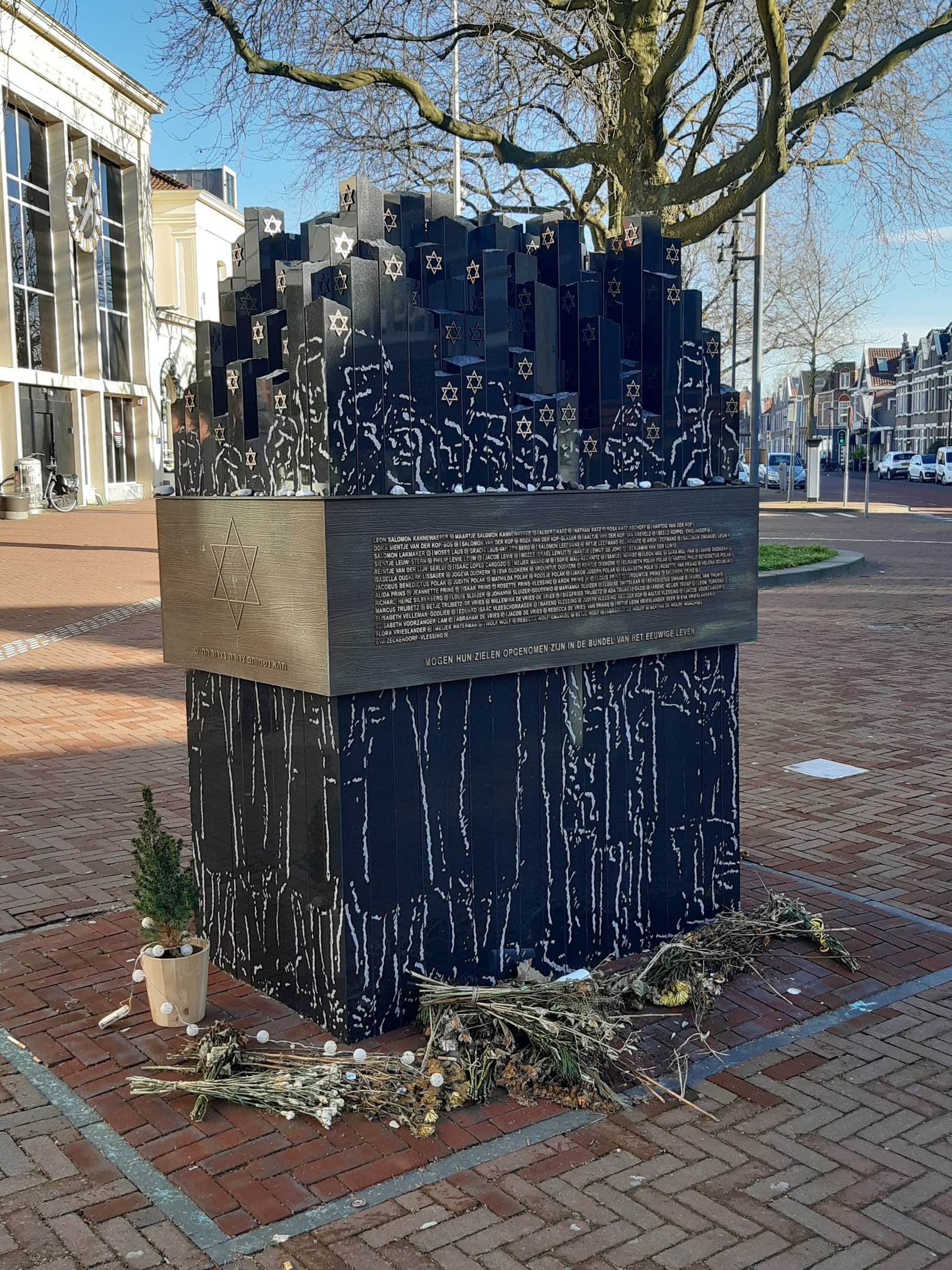 Denkmal in einem Stadtplatz für Holocaust-Opfer, mit einem Baum davor, einem Topfgewächs auf dem Boden, verstreuten trockenen Blättern und Gebäuden, Fahrzeugen, Pfählen und Bäumen im Hintergrund.