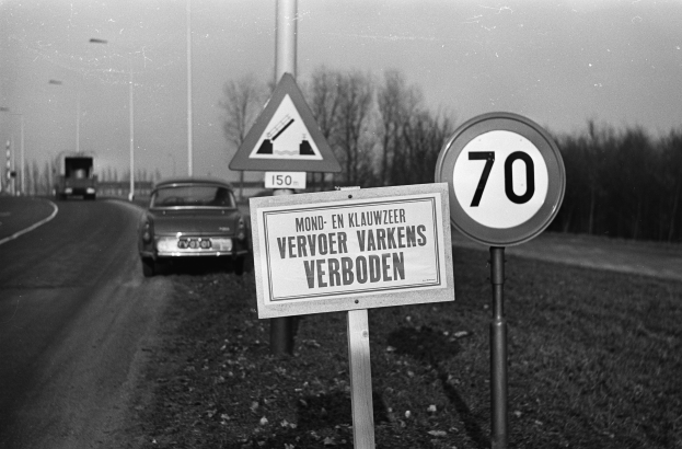 Ein Schwarz-Weiß-Foto eines Tempolimitschildes am Rande einer Straße mit einem vorbeifahrenden Auto, Bäumen, Masten und einem klaren Himmel im Hintergrund.