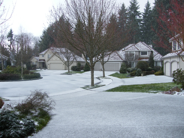 Eine Landschaft mit wenigen Bäumen und Pflanzen, Grasfläche auf dem Boden, Häuser im Hintergrund und weitere Bäume mit Himmel dahinter.