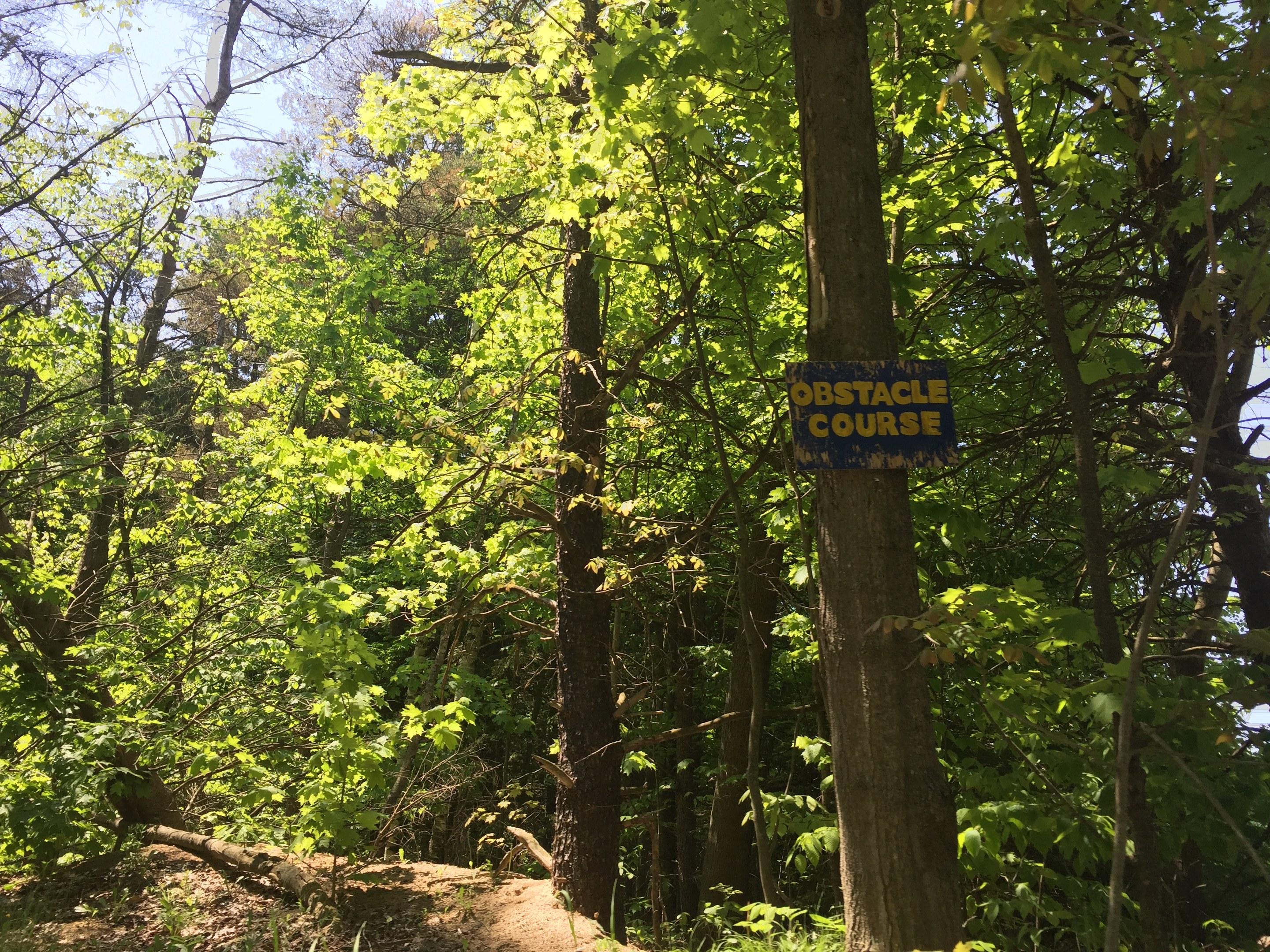 Ein Schotterweg in einem bewaldeten Gebiet, der von einem Schild mit der Aufschrift "Hindernislauf" markiert ist und von Bäumen gesäumt ist, mit dem Himmel im Hintergrund.