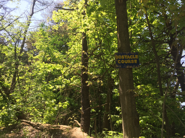 Ein Schotterweg in einem bewaldeten Gebiet, der von einem Schild mit der Aufschrift "Hindernislauf" markiert ist und von Bäumen gesäumt ist, mit dem Himmel im Hintergrund.