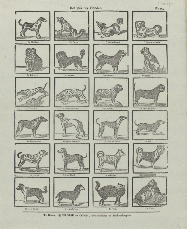 Ein offenes altes Buch mit verschiedenen Hundezuchten und begleitenden Textbeschreibungen auf der Seite.