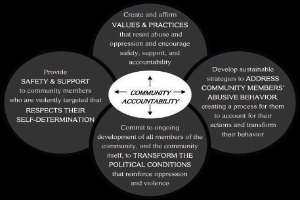 Ein Diagramm mit der Überschrift 'Gemeinschaftliche Rechenschaft' und einem zentralen Kreis, der durch Pfeile mit drei überlappenden Kreisen verbunden ist, alles in fetter Schrift und leuchtenden Farben.