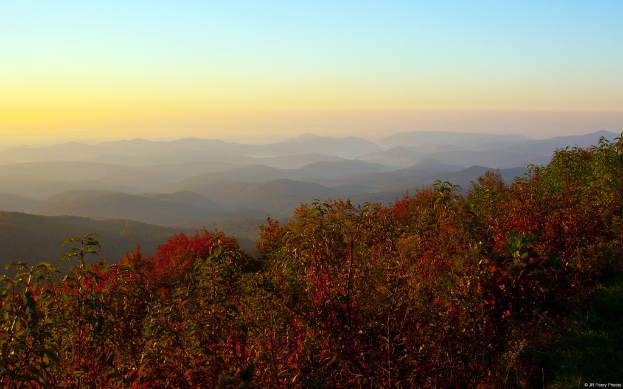 Eine Landschaft mit Bergen, Bäumen mit Blumen und verschiedenen Pflanzen.