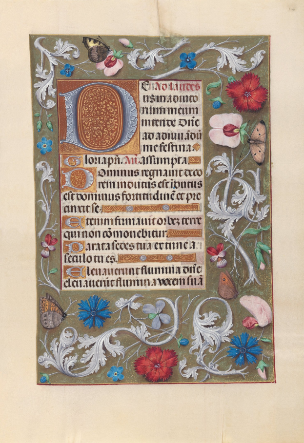 Illuminierte Handschriftenseite mit symmetrischem floralem Design, Schmetterlingen, detaillierten Elementen, leuchtenden Farben und kalligraphischem Text.