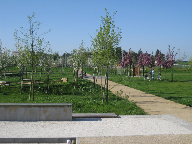 Ein Park mit einem gewundenen Pfad, gesäumt von Bäumen und Bänken, Menschen, die Fahrräder fahren, Gebäude im Hintergrund und ein klarer blauer Himmel über saftig grünem Gras.