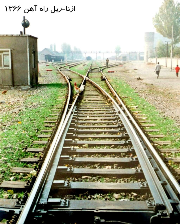 Ein Vogel sitzt auf einem Bahnsteig, umgeben von Gras und Steinen, mit Menschen in der Nähe, Bäumen, Polen, Gebäuden und dem Himmel im Hintergrund und Text oben.