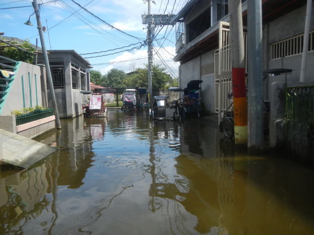 Eine überflutete Straße mit parkenden Autos, Gebäuden, Strommasten mit Drähten, Bäumen und einem bewölkten Himmel im Hintergrund.
