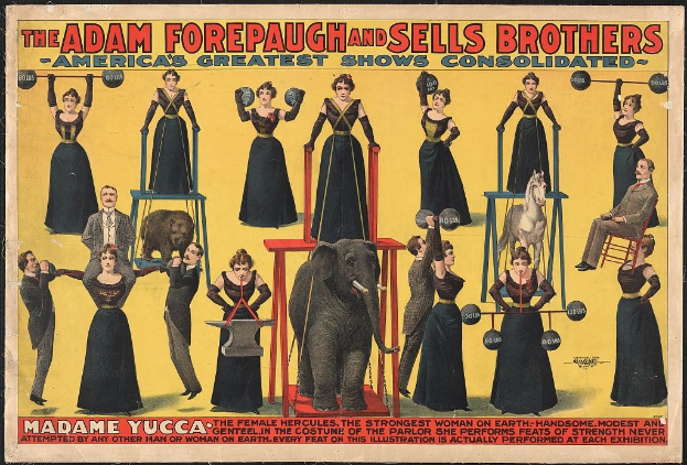Plakat für das Adam Forepaugh und Sells Brothers' konsolidierte Zirkus-Show mit Performern auf Hockern und einem Elefanten in der Mitte und Werbetext.