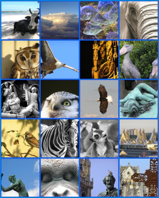 Ein Collage-Bild mit verschiedenen Tieren wie Kühen, einem Zebra und einer Eule sowie mehreren Skulpturen.